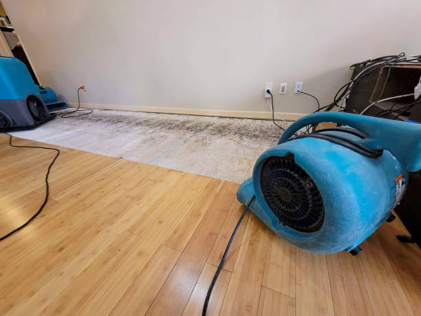 Professional Burst Pipe Water Damage technician working in Ayden, NC